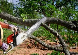 Lawn Grading and Leveling in Markesan, WI